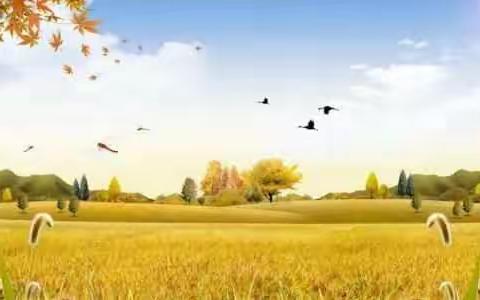 秋天，是风景最美的季节，是果实成熟的季节，做个美篇送给大家😉😉😉😉