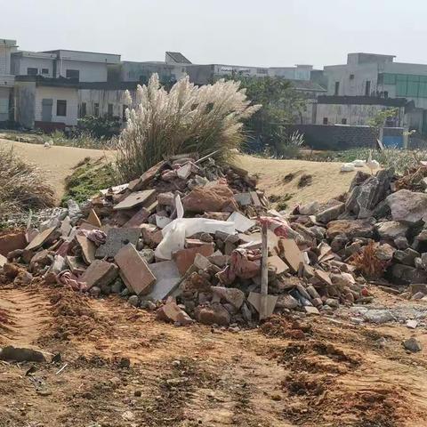 巡查日报