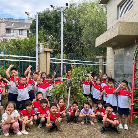 种下一颗毕业树