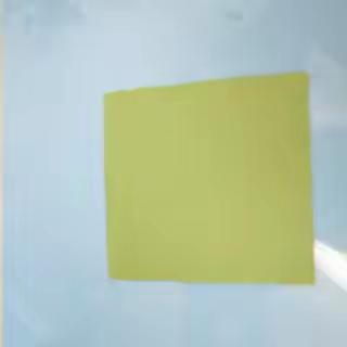 树叶上的蚕宝宝