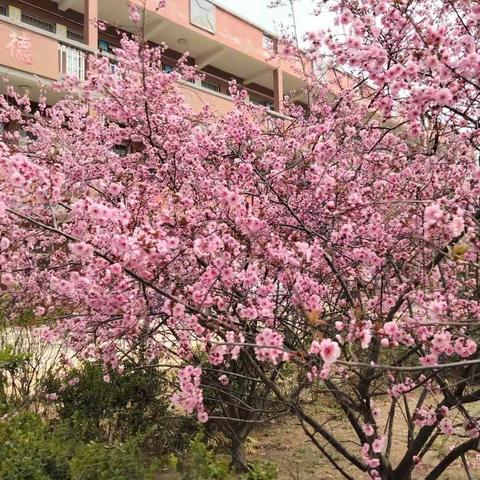 "双减"下的多彩课堂 —芦岗乡滑店小学