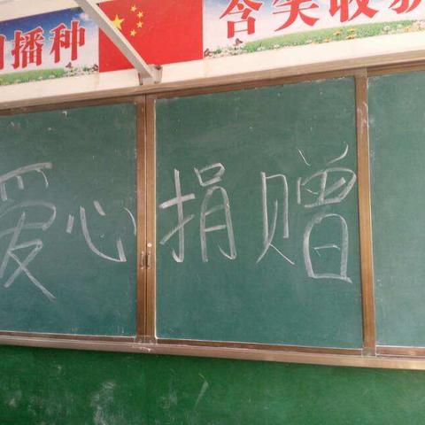 11月30日，滑店小学六年级的图书捐赠活动举行的如火如荼，孩子们都很积极，捐出了自己喜爱的书本。