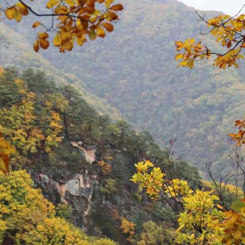 东北赏秋（二）