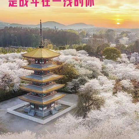 大恩不言    来日方长