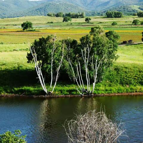 夏季的坝上草原—乌兰布统草原