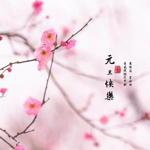 二七建幼——游戏乐翻天、新年乐淘淘(小一班)