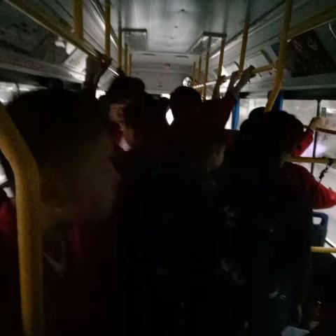 驻马店市第三十八小学三年级我可爱的小花儿们