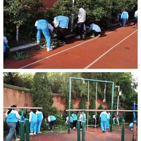 五一劳动节，义务除草日