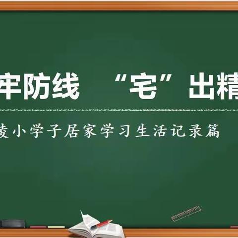 筑牢防线“宅”出精彩——凌云小学线上教学活动有序开展