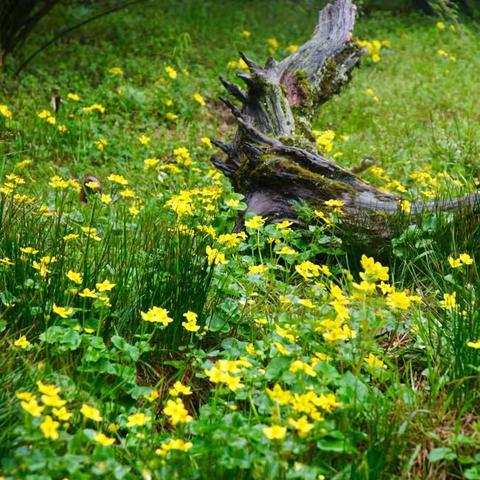山，还在那里！