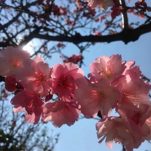 守护着的😘🙃