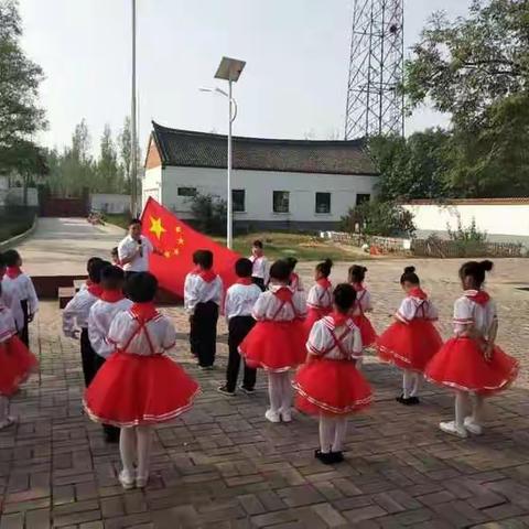 苔花如米小  也学牡丹开
