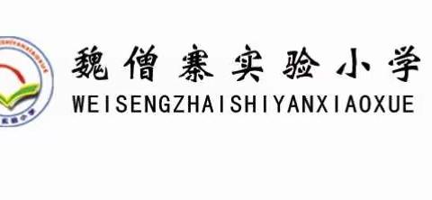 魏僧寨实验小学“学习十九大精神，践行幸福教育”系列活动之拔河比赛