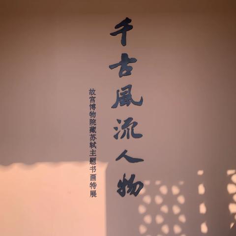 一蓑烟雨任平生，也无风雨也无晴-苏轼书画展