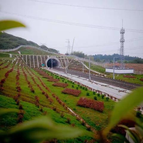 最美高铁全线开通运营