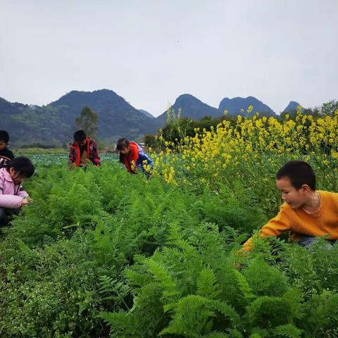 20220712，学习新课标