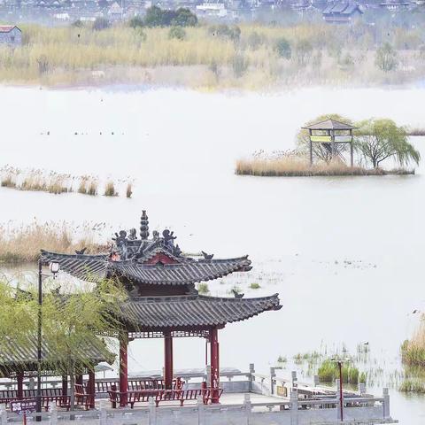 镜语龙湖畔