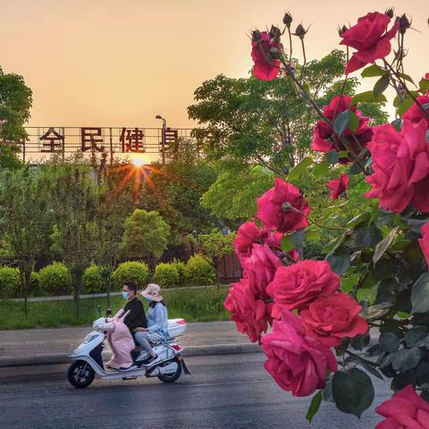 桐丘处处有美景