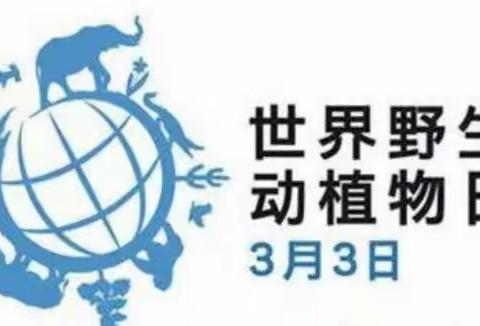 保护野生动植物，共同建设美好家园——昌邑市第二实验小学幼儿园小班3月3日保护野生动植物日活动