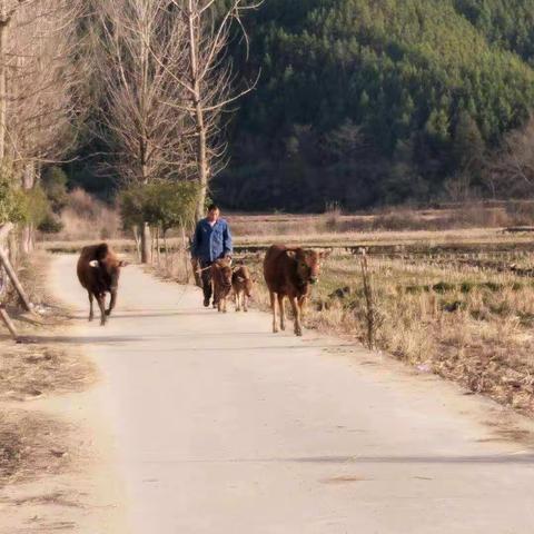 家务小能手，快乐寒假时光