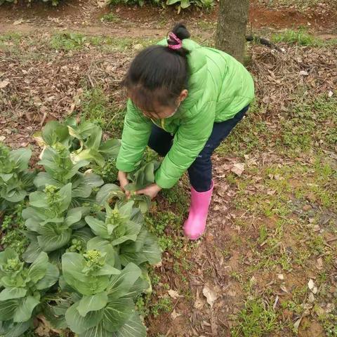 愉快寒假，劳动使人快乐