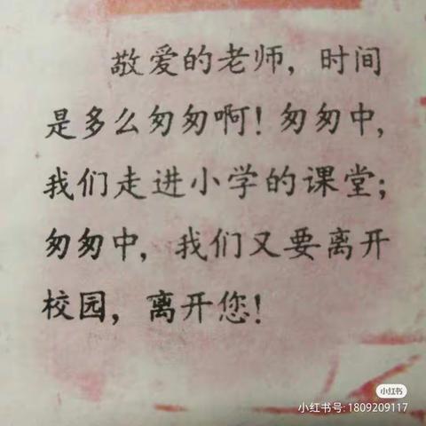 青春不散