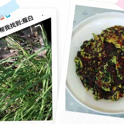 “天方夜谭”--宅家期大都市楼顶上的野生菜