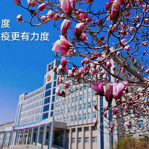 中共卢龙县委办公室：有温度，让抗疫更有力度！