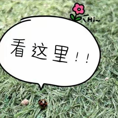 班本课程|沙三幼小二班《你好，七星瓢虫》班本课程活动