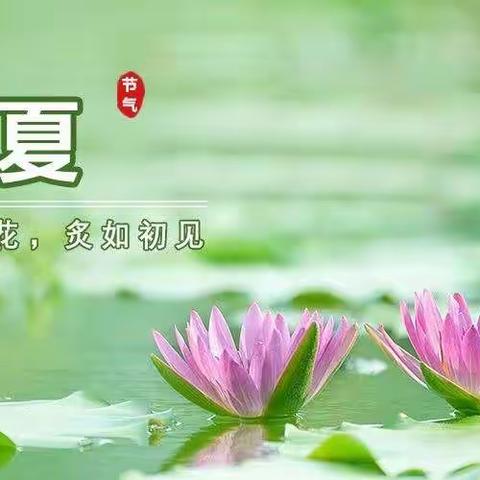 美食活动｜沙三幼中班组开展二十四节气之立夏——冰粥