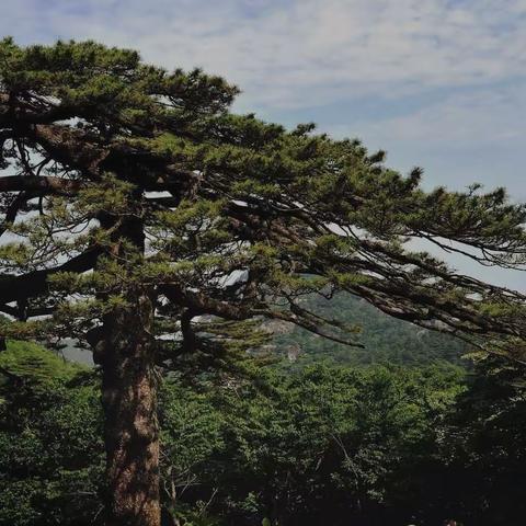 平川村革命烈士赵金水的故事（之一）