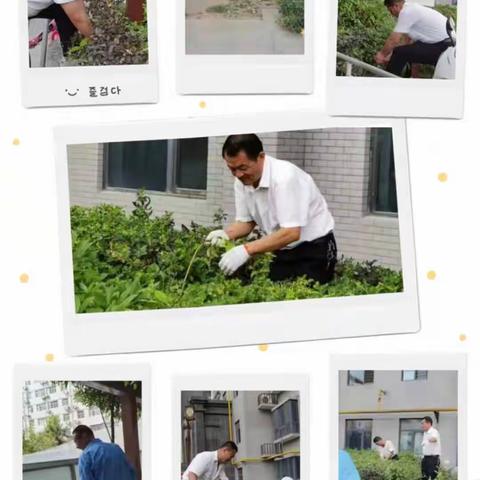 【雅苑物业】一周工作动态8.22-8.28