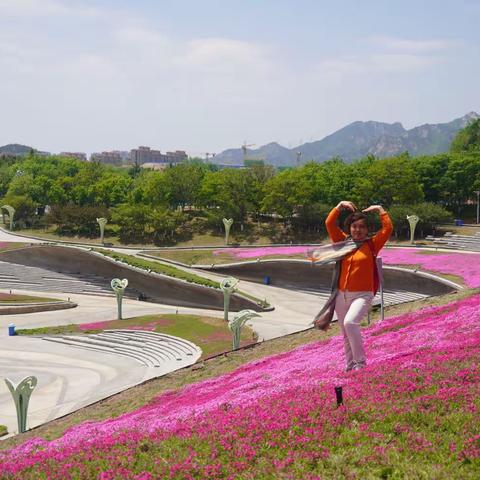 2023 5月6日 青岛世界 博览园 芝樱花盛开时节 胜似花的海洋 当一次花仙子