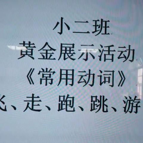 广州市白云区钟落潭镇长沙埔村幼儿园小2班第二学期黄金阅读课分享