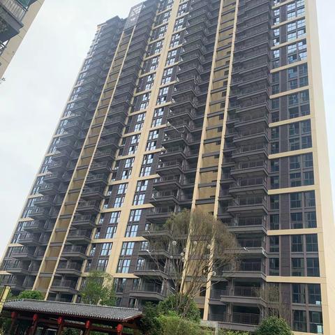 定王台29栋6月进度篇