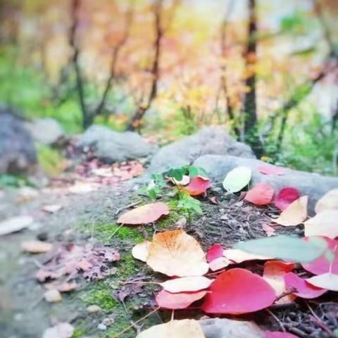 冬日出行·感受别样的美