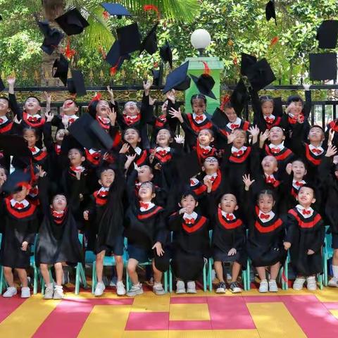 繁花四季，快乐成长——金海幼儿园大大A班第二学期精彩瞬间【回顾】