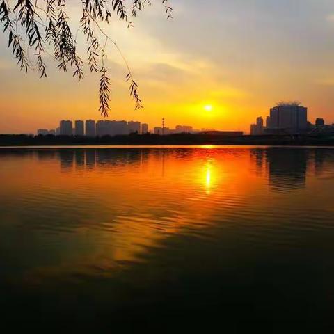 日出日落在浐灞  天水一色美如画