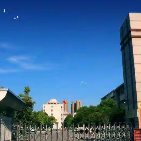 以爱之名，育我感恩