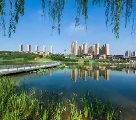 浐灞生态区获2017年度全市保障农民工工资支付工作考核“A”级