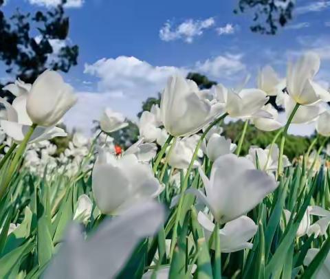 【庸常之中 微芒不朽】莒县特校一年级生活语文学期总结