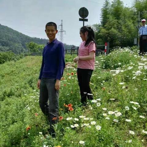 边走边看生命里，每一片风景。