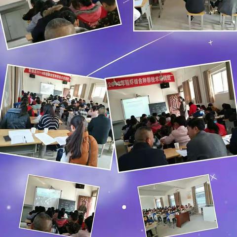 【评优课，同促进】泉山片区小学语文优质课比赛在太泊湖学校举行