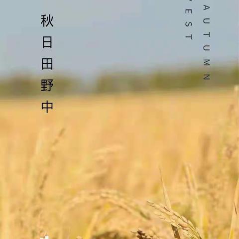 晋级教育野外大课堂《你好，稻草人》火热抢占名额中～～