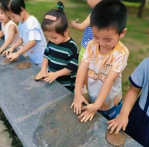 【青岛海洋幼儿园】与“泥”相约——小一班班本课程故事分享