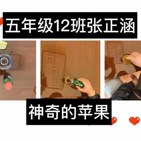 [单县经济开发区实验小学]五一级部科学小实验——神奇的苹果