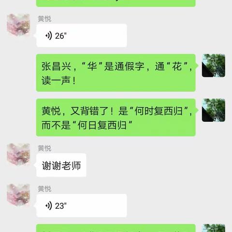 线上教学六（下）语文教学辅导记录