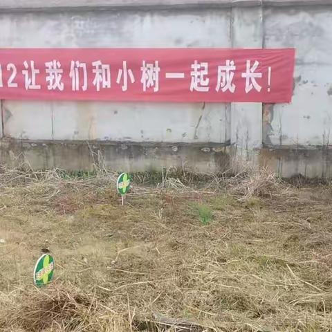 黄沙街镇中心小学——春暖花开、“植”等你来！