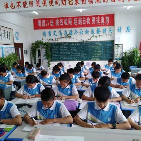 科学用脑 绽放思维魅力