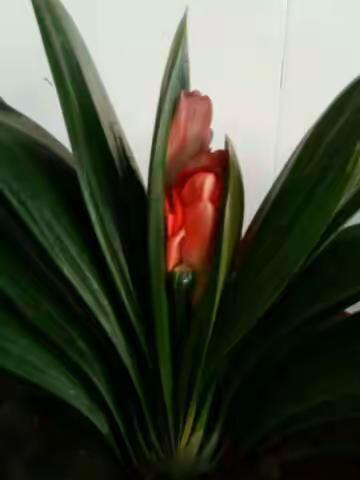 明德八班欢迎你！新同学！